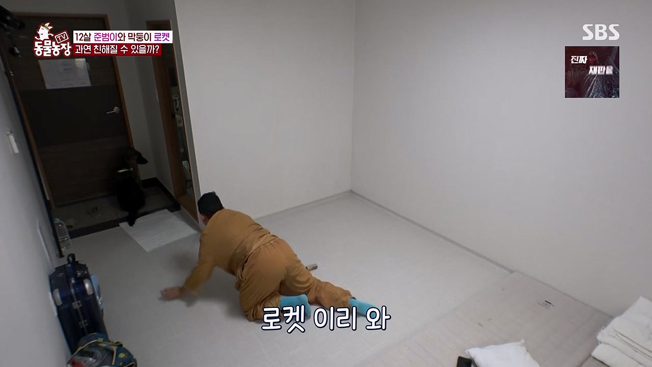 TV 동물농장 1189화 다시보기.ts_20240922_161954.641.jpg