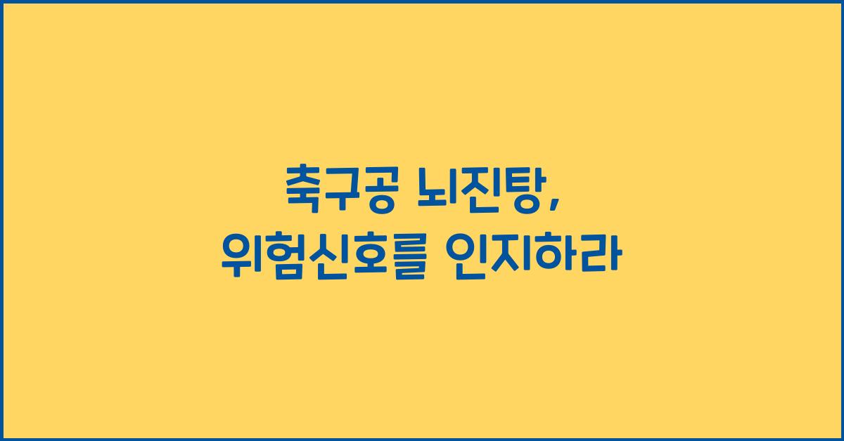 축구공 뇌진탕