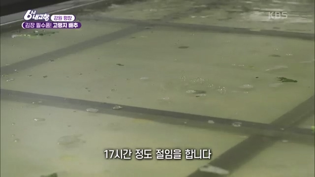 6시 내고향_김장의 필수품 평창 고랭지 배추 - 강원 평창 [슬기로운 두 반장] 슬기로운 어르신들을 찾아서 (충북 제천) [붕붕이가 간다] 철원에 무슨 일이 (강원 철원) [인생은 행복海] 우리는 환상의 사촌 (경남 통영).ts_20231117_202029.260.jpg