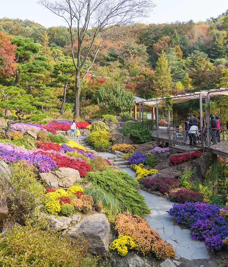 화담숲-풍경