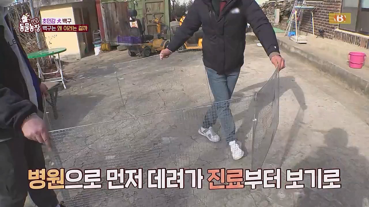 TV 동물농장.E1104.230123p.WANNA.mp4_20230123_195411.225.jpg