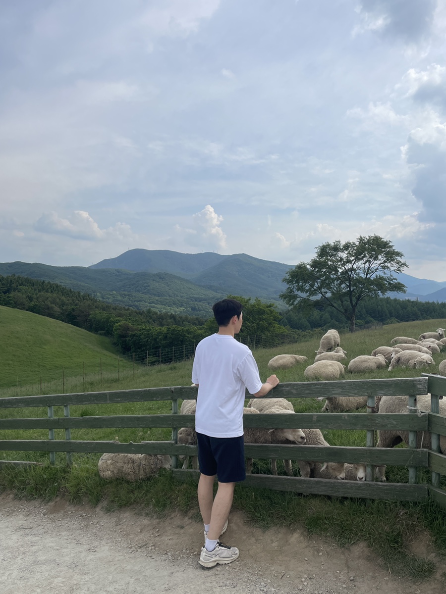 이모네식당 이미지