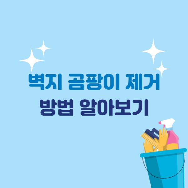  벽지 곰팡이 확실한 제거방법, 예방방법 알아보기