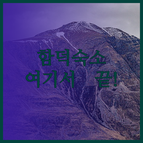함덕 숙소 고민 끝 깨끗하고 편리한 