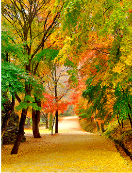 강천산 군립공원