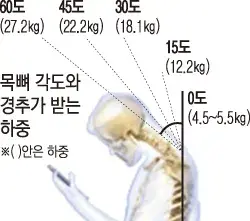 목에 가해지는 하중