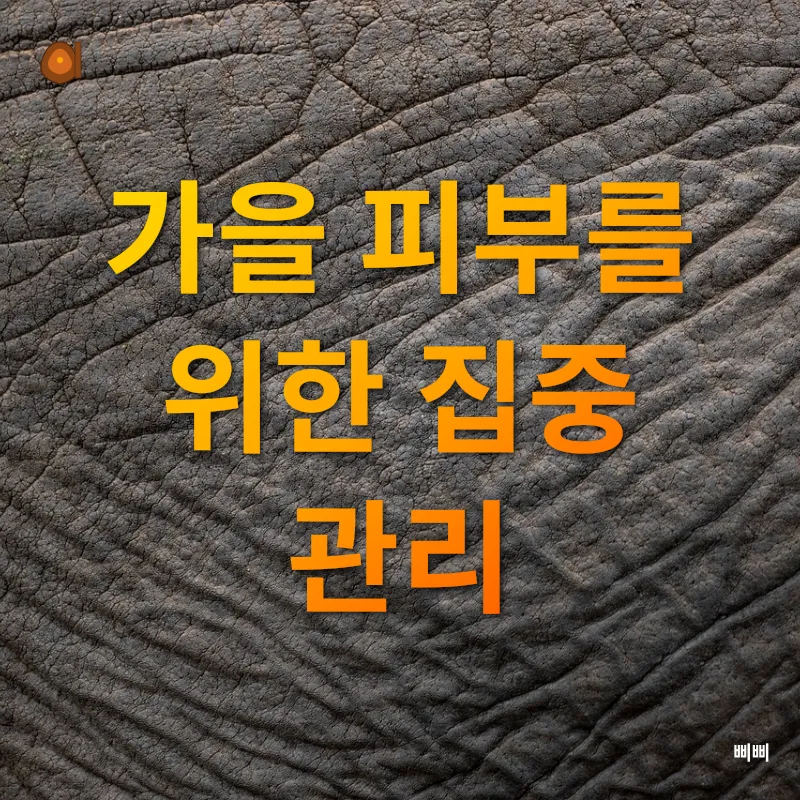 피부 건강_3