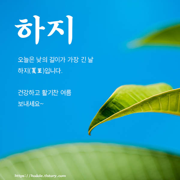 서울하지정맥류 예방 및 치료법