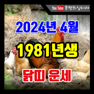 썸네일 사진