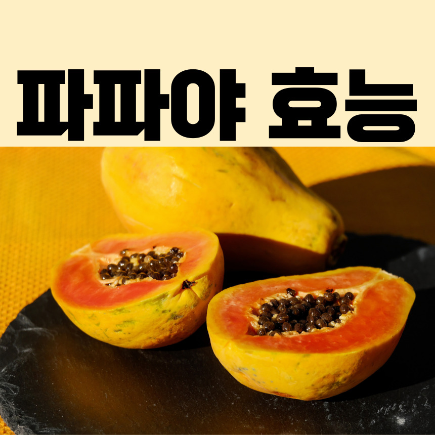 파파야효능