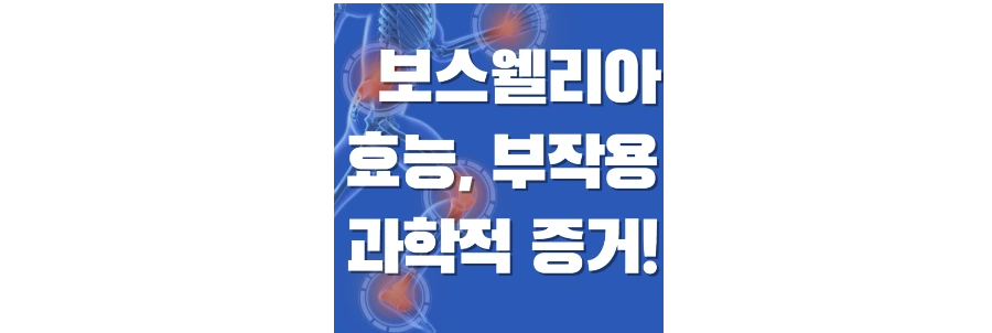 보스웰리아-효능-포스팅-상단-썸네일