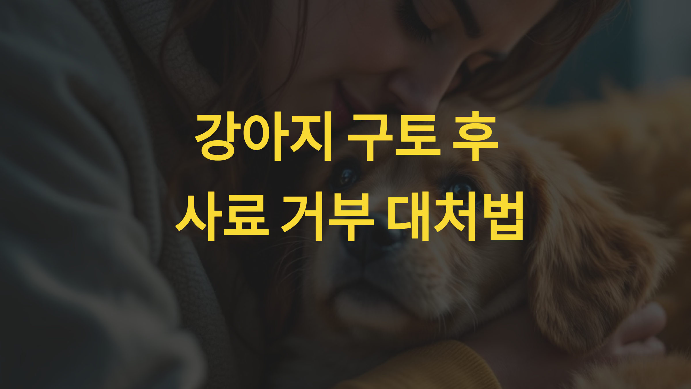 즉각적인 대처법