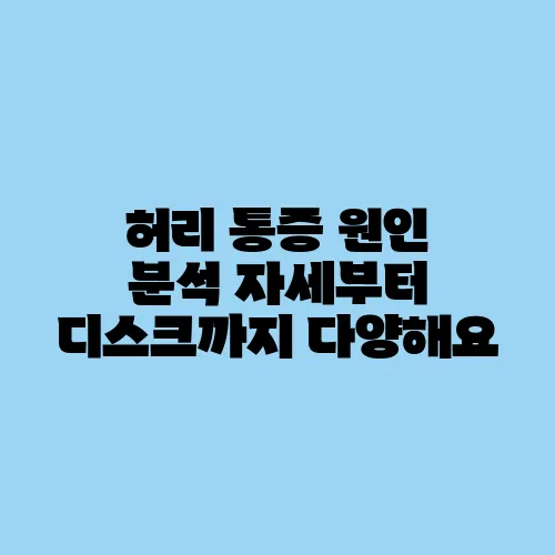 허리 통증 원인 분석 자세부터 디스크까지 다양해요