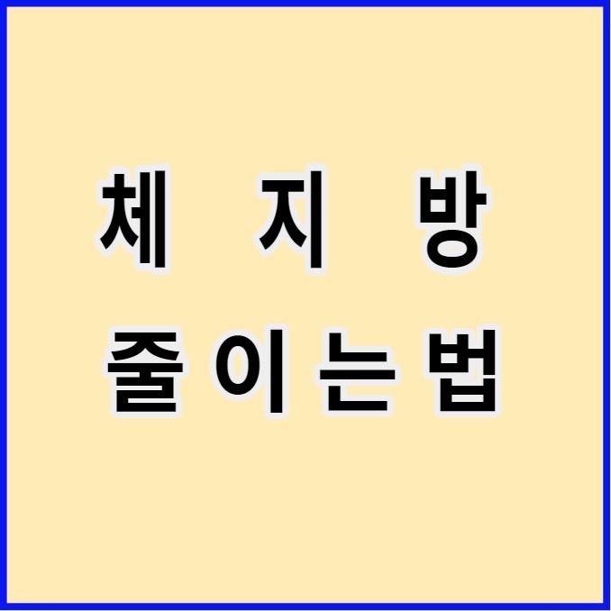 체지방줄이는법