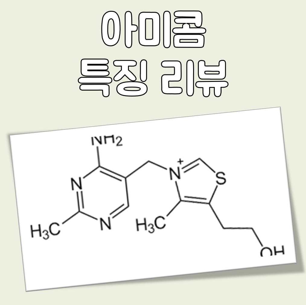 아미콤 특징 리뷰