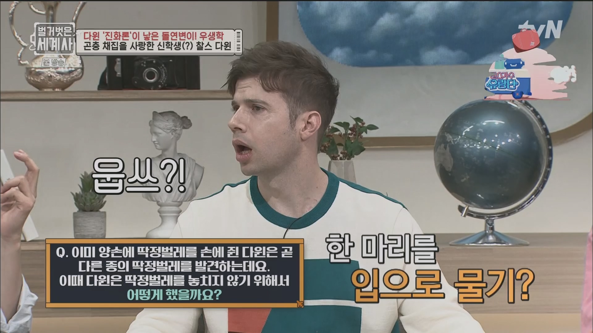 벌거벗은 세계사.E97.230502p.H264-F1RST.mp4_20231224_171020.640.jpg
