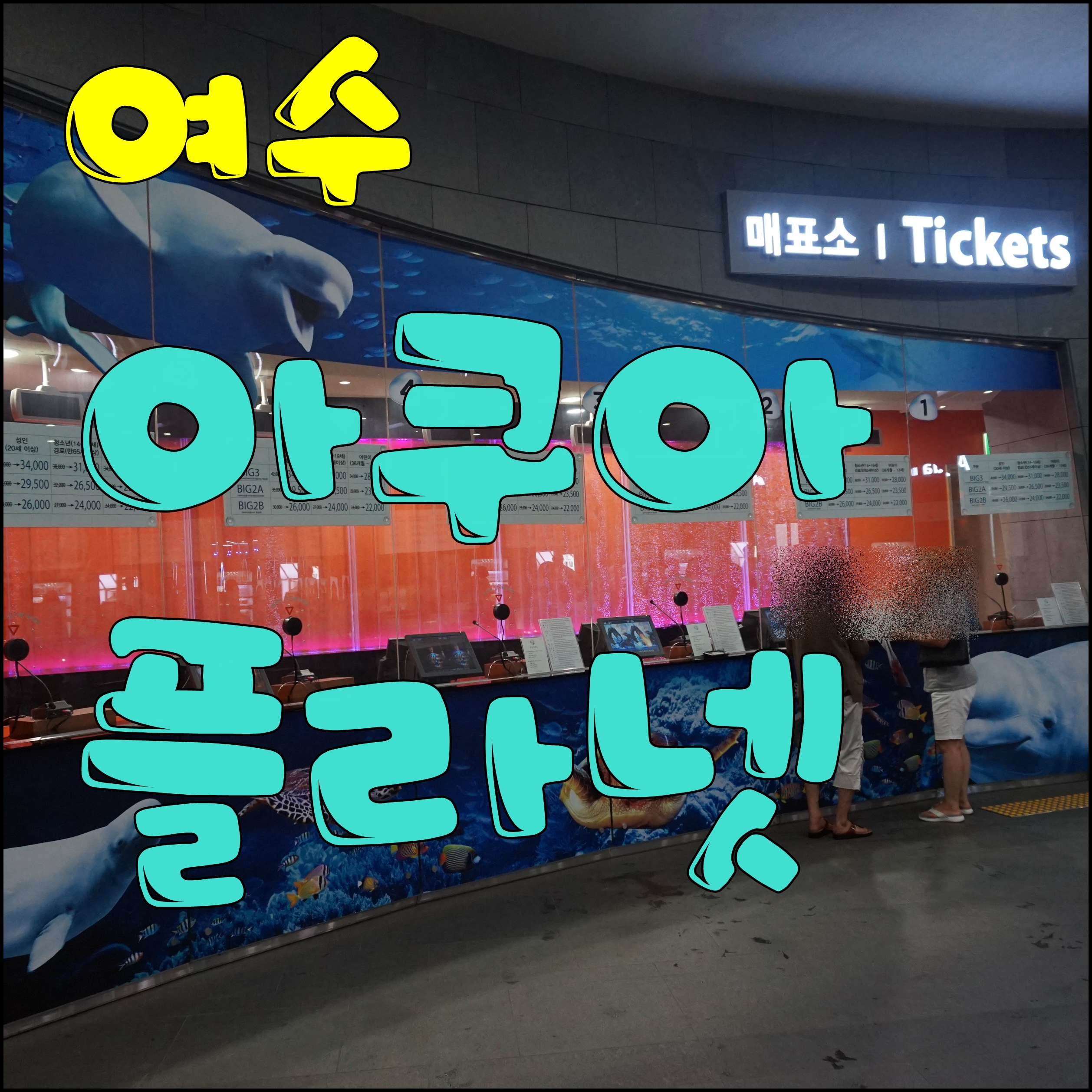  여수 아쿠아플라넷 아이와 함께 가볼만한곳 추억의 여행 사진 공개