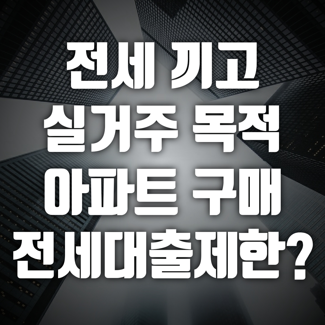  전세대출 제한, 전세대출을 활용한 투자를 제한하는 제도