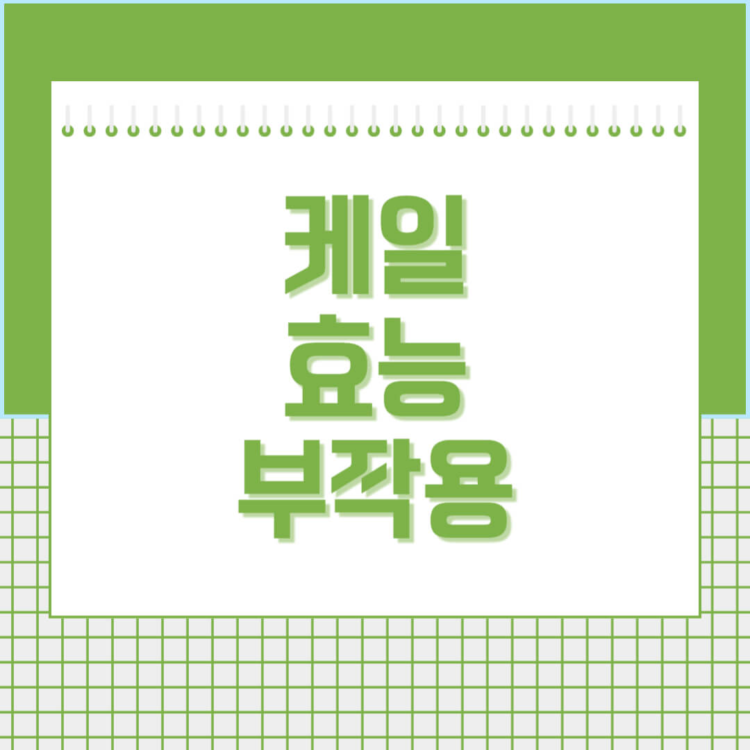 케일-효능 및-부작용-섬네일