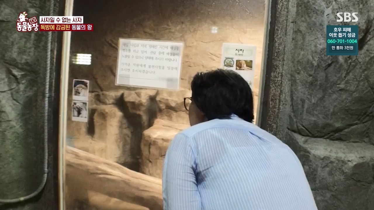 TV 동물농장.E1131.230731p-NEXT.mp4_20230730_190956.803.jpg