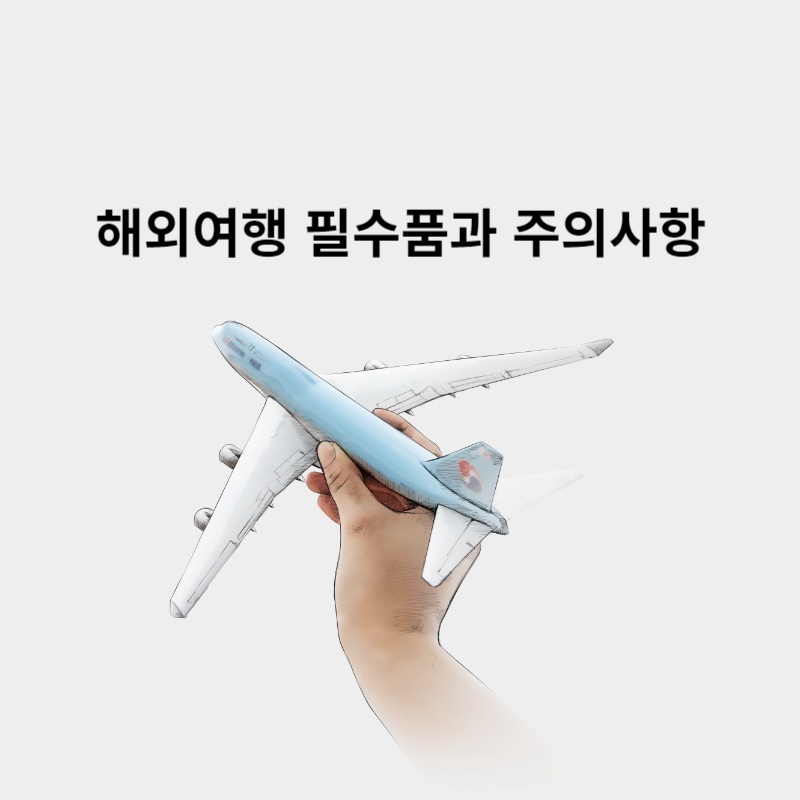  해외여행 시 필수품과 주의사항, 여행자 보험 안내