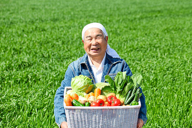 임산부 친환경 농산물 꾸러미 신청 절차