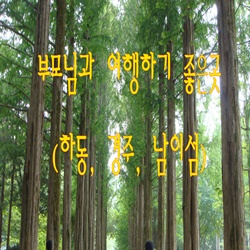  부모님과 여행하기 좋은곳 (하동, 경주, 남이섬)