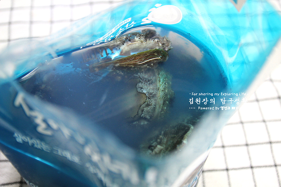 손질 하는법 활전복 보관 방법 전복회 손질 전복 내장 2