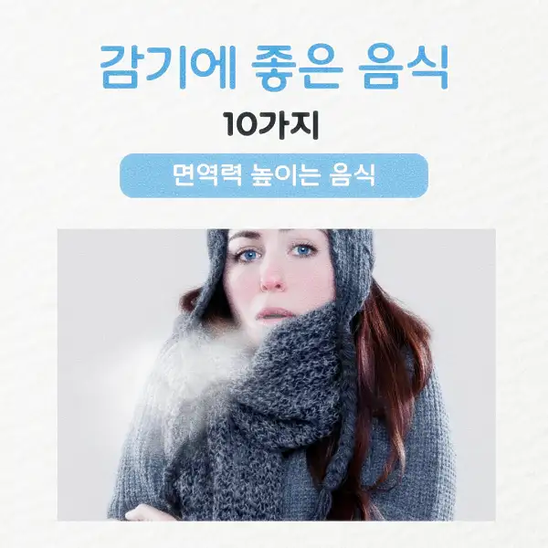 감기에 좋은 음식