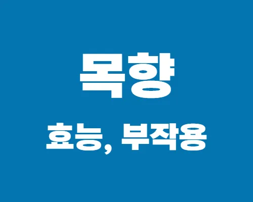 목향-효능