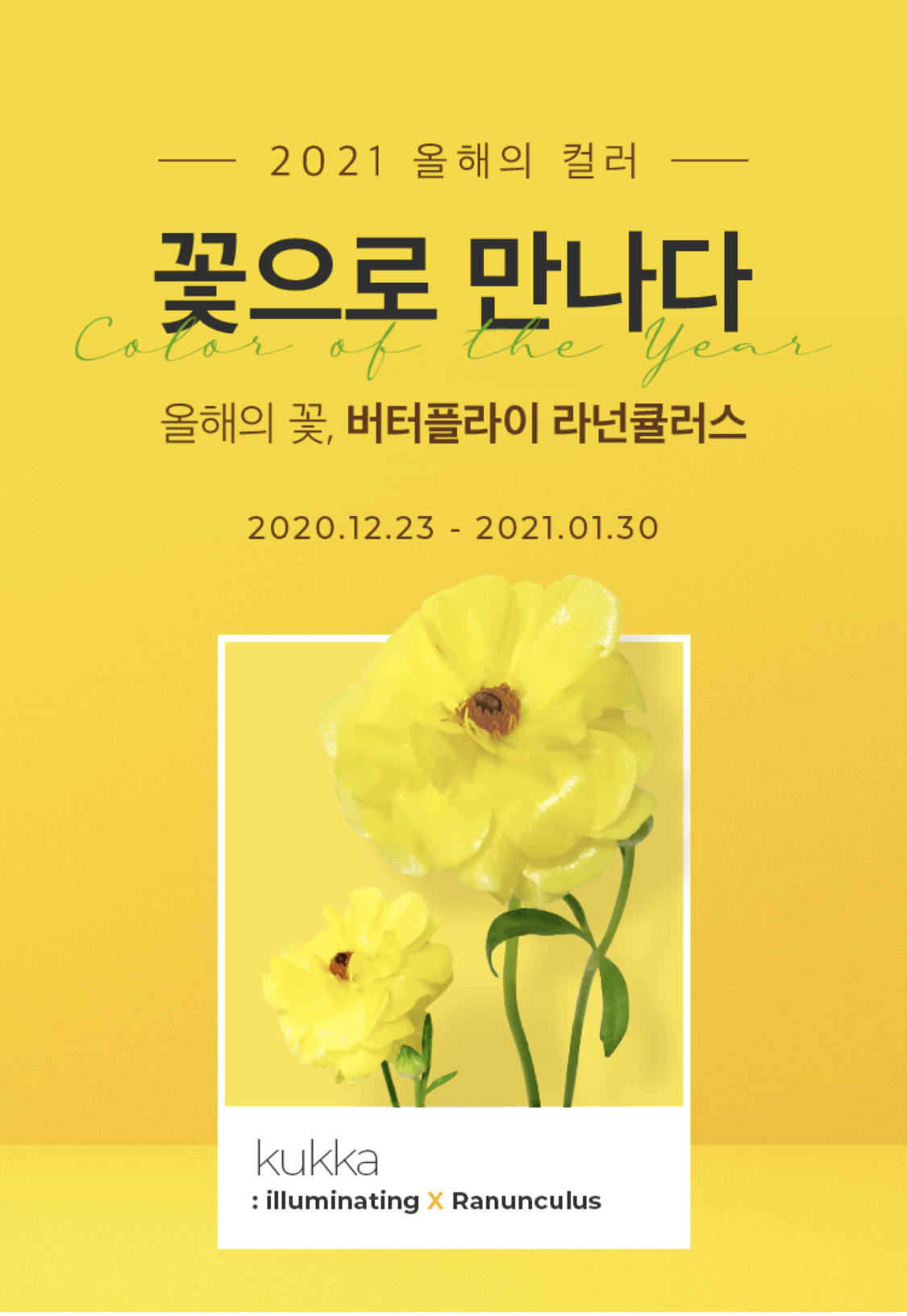 꾸까 이미지