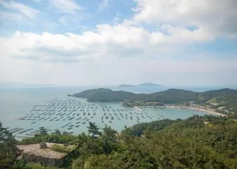 완도 청산도 배시간표 요금 배편 예약_10
