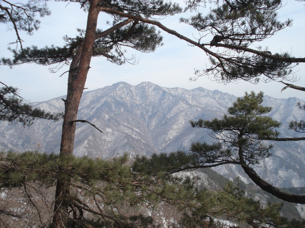  영월 사자산 [법흥사~사자산~치마바위]