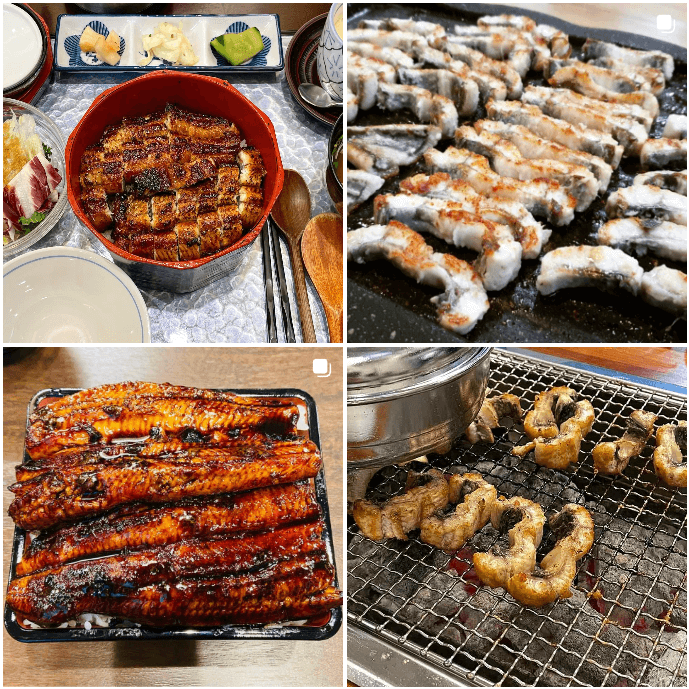  장어 제대로 알고 드셔야 보양효과