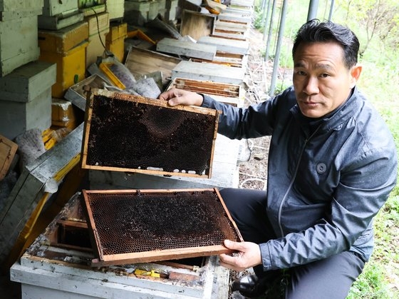 지난달 26일 오후 전남 강진군 강진읍 서산리 양봉농가에서 이인구(60)씨가 지난 1~2월 꿀벌이 사라진 벌통을 바라보고 있다