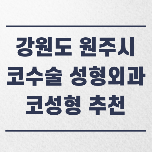 강원도 원주시 코수술 성형외과 추천 코성형 잘하는 곳 가격 비용 금액 후기.png