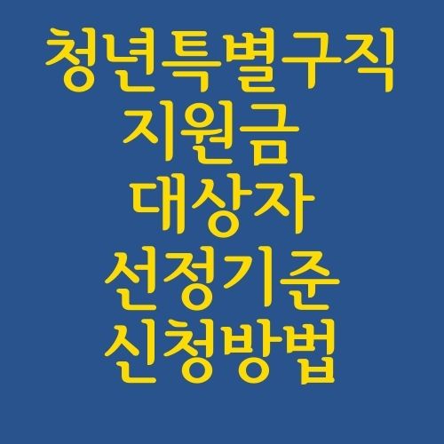 청년특별구직지원금