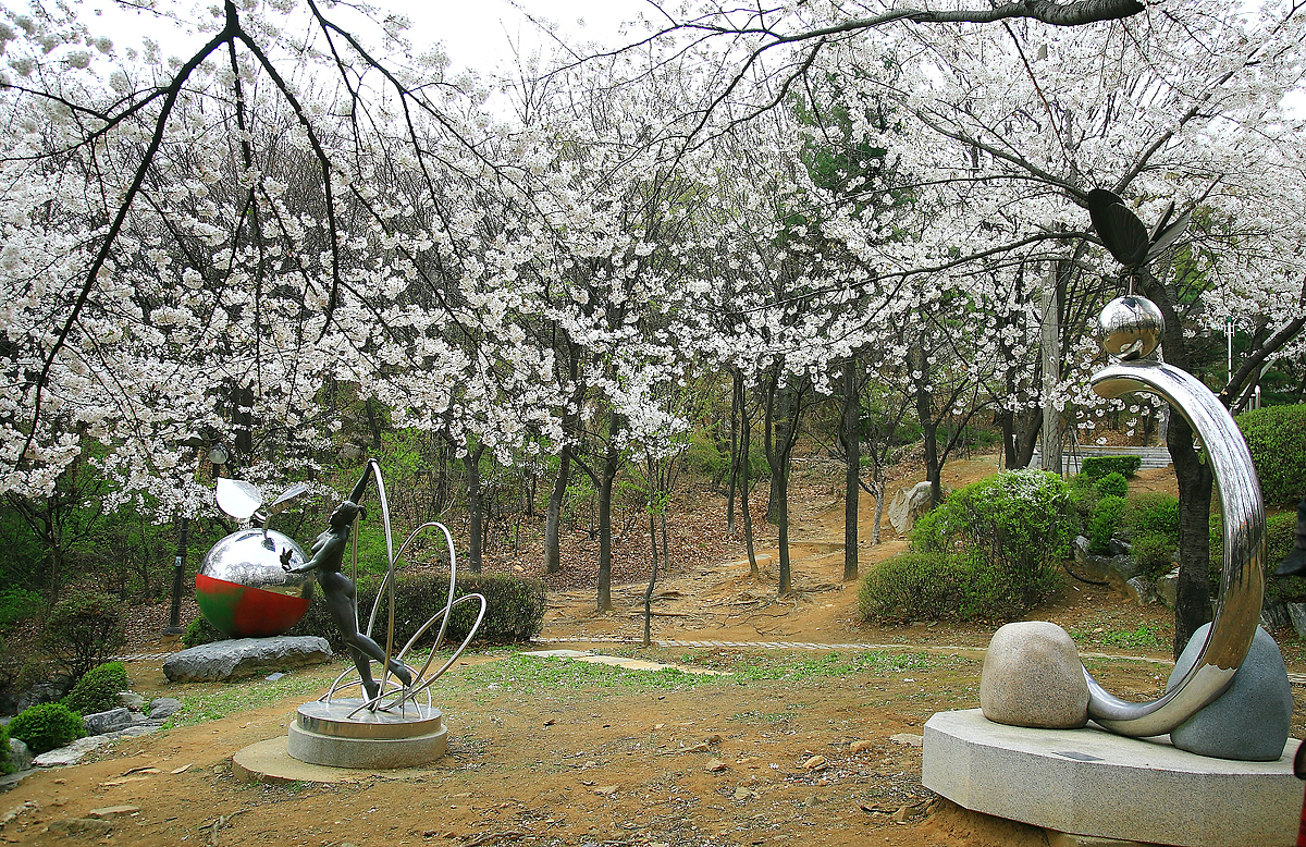도당산 벚꽃 축제