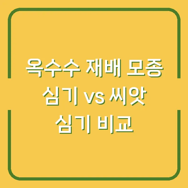 옥수수 재배 모종 심기 vs 씨앗 심기 비교