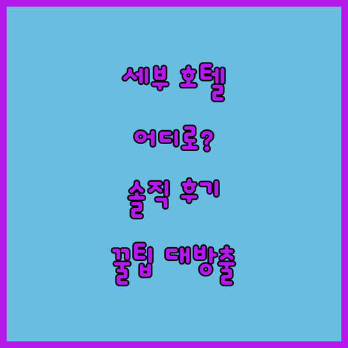 세부 호텔 어디로 갈까? 생생 후기 