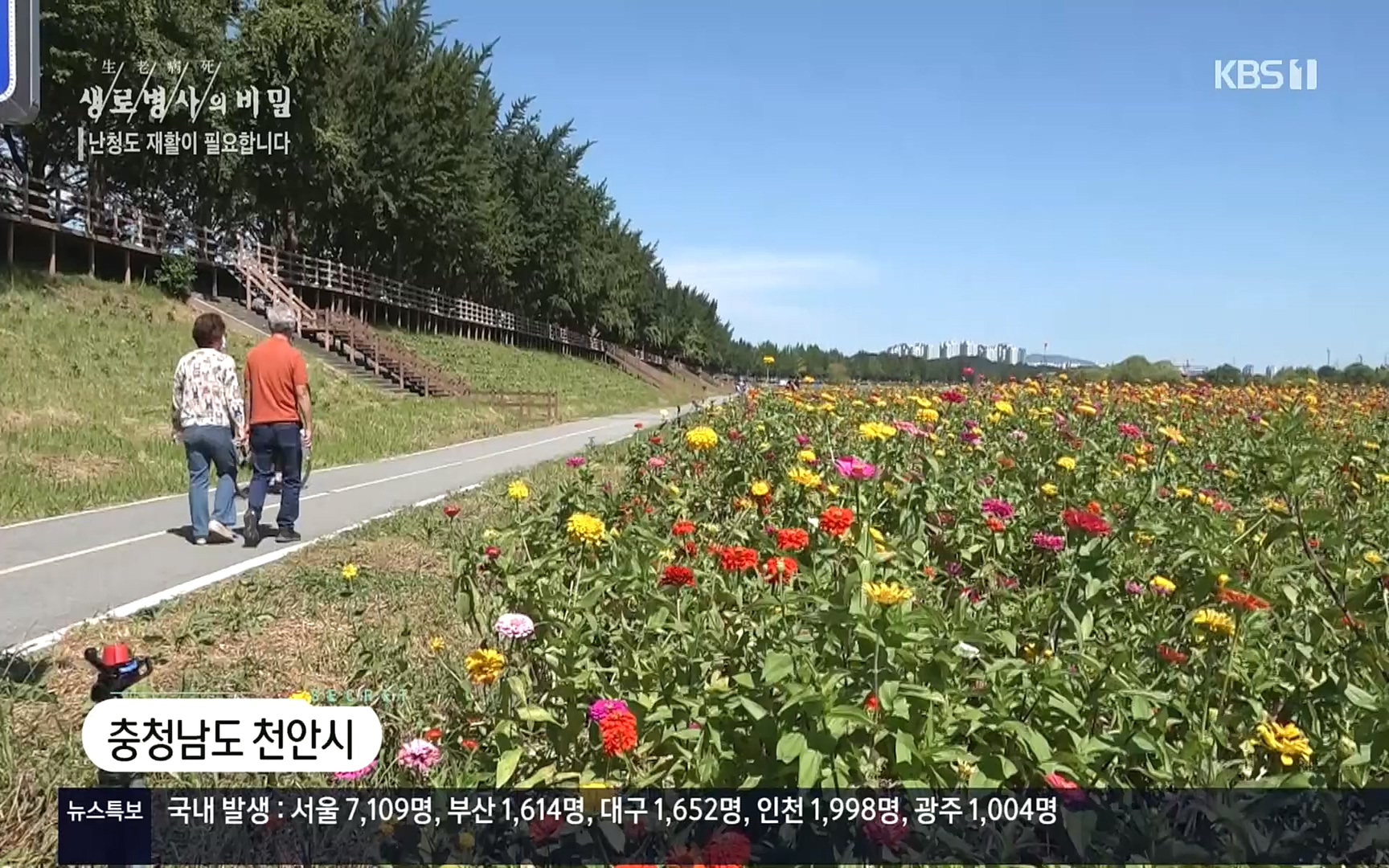 생로병사의 비밀.E837.220928p.H264-F1RST.mp4_20220930_212510.545.jpg