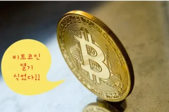 비트코인 트럼프 영향_23