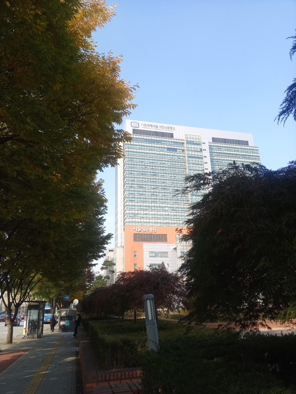 오랜만의-국립-중앙-도서관/-카톨릭-대학교-서울성모병원