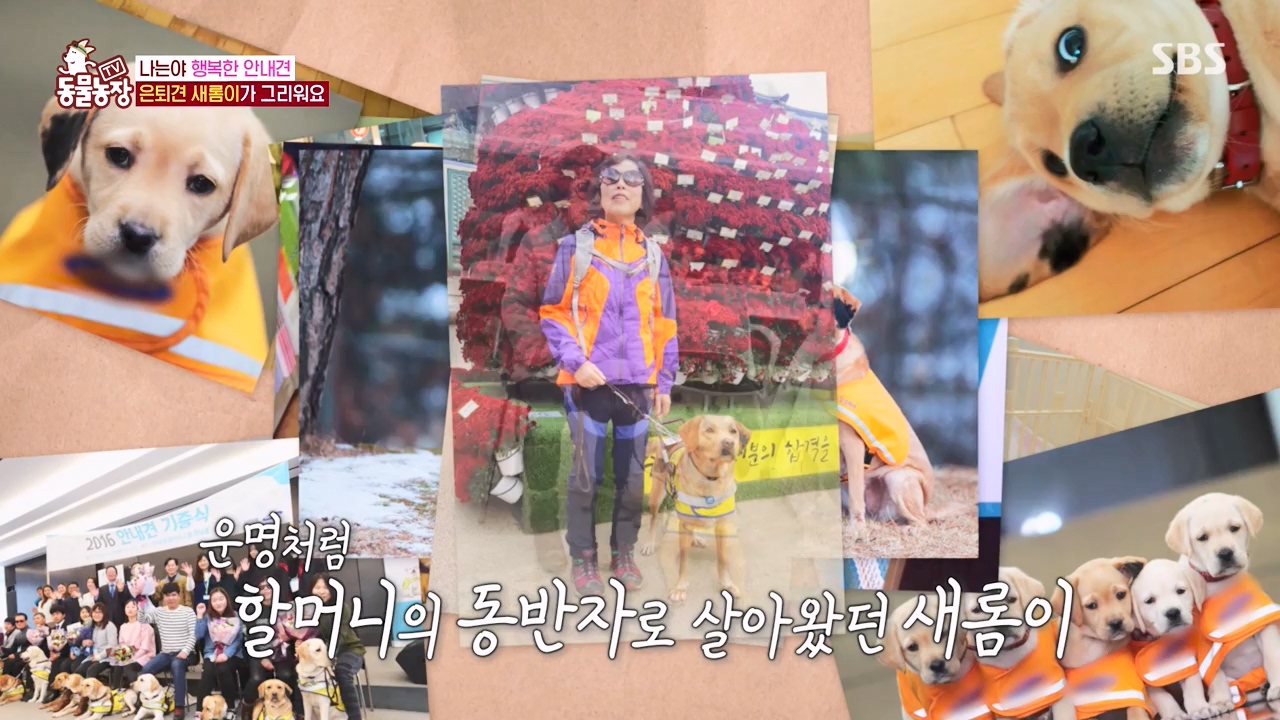 TV 동물농장.E1122.230529p-NEXT.mp4_20230528_170258.638.jpg