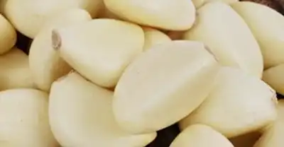 깐 마늘 사진 2