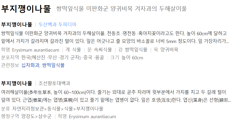 울릉도꼬마김밥 이미지