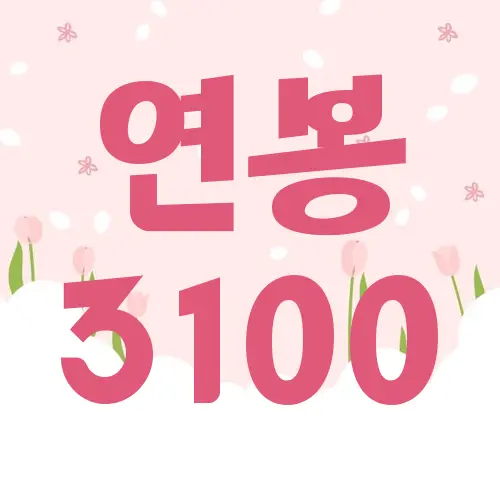 연봉 3100