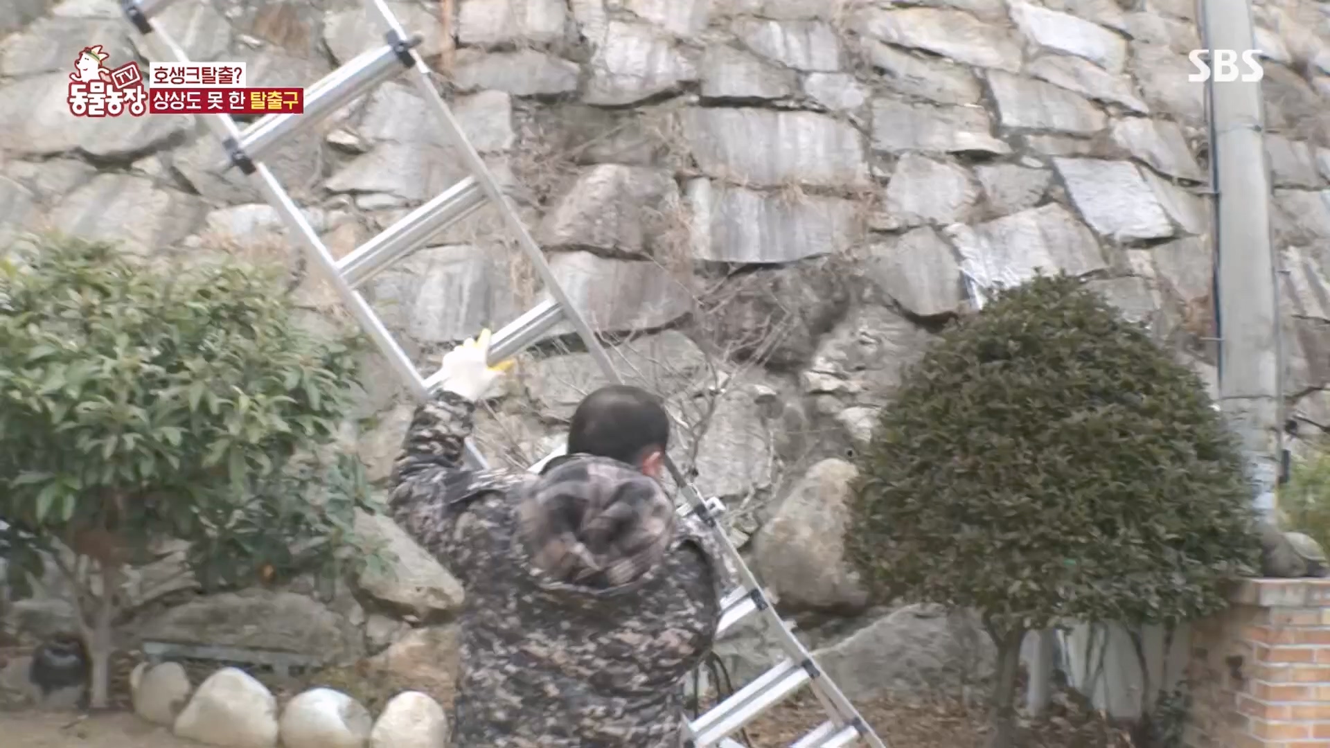 TV 동물농장.E1160.240225p.H264-F1RST.mp4_20240225_165132.478.jpg