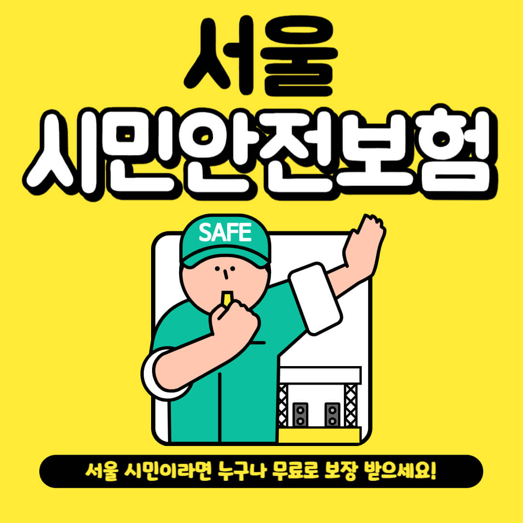 서울 시민안전보험
