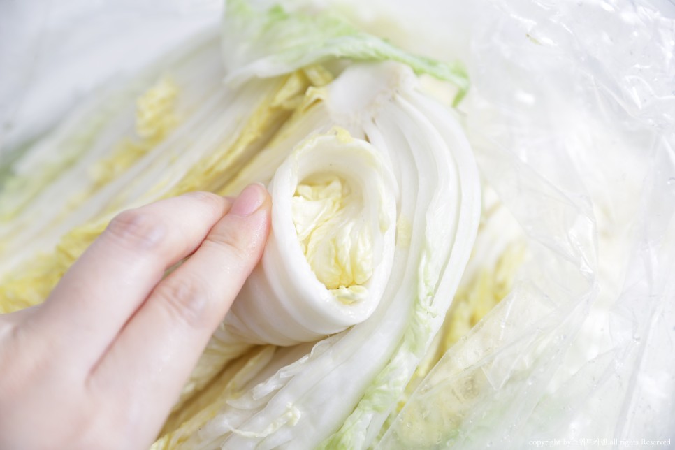 짠맛 김장봉투로 간단하게 속이 꽉 찬 배추절임 배추절임 시간 16